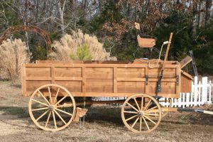 Buckboard